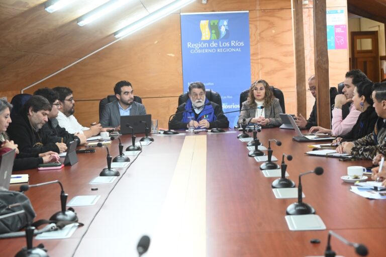 GORE de Los Ríos impulsa coordinación para robustecer la seguridad en comunas de la región