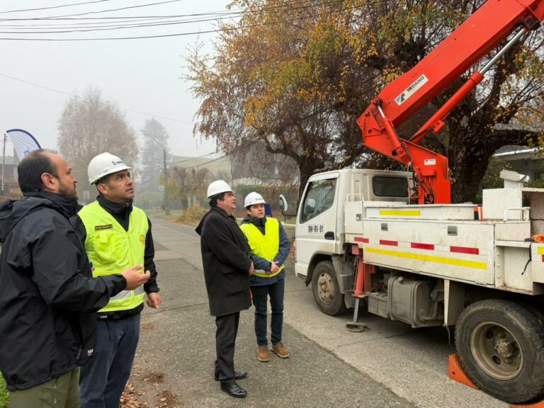 Seremi de Energía llama a las empresas eléctricas a reforzar medidas preventivas ante Alerta Amarilla por sistema frontal en Los Ríos