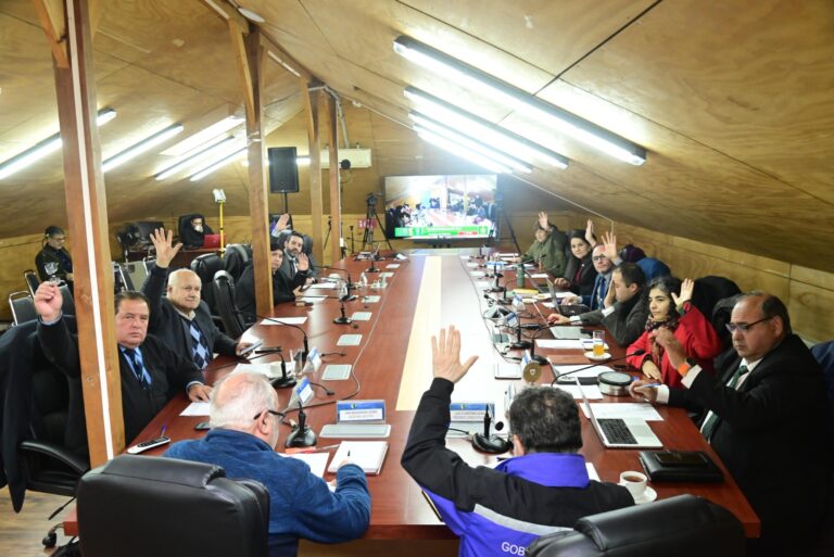 Más de $181 millones aprobó el Core para fortalecer iniciativas deportivas, educativas y culturales en la región
