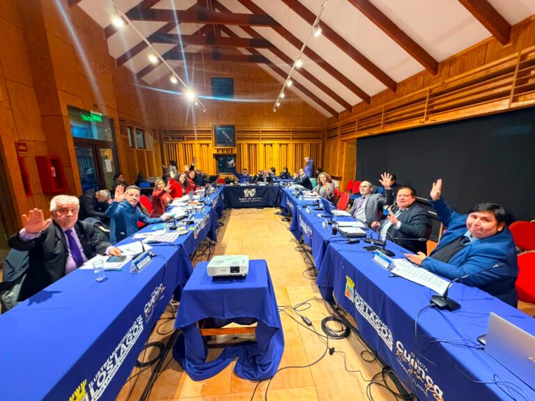 Consejo Regional de Los Ríos respalda inversión para robustecer la planificación territorial frente a amenazas naturales