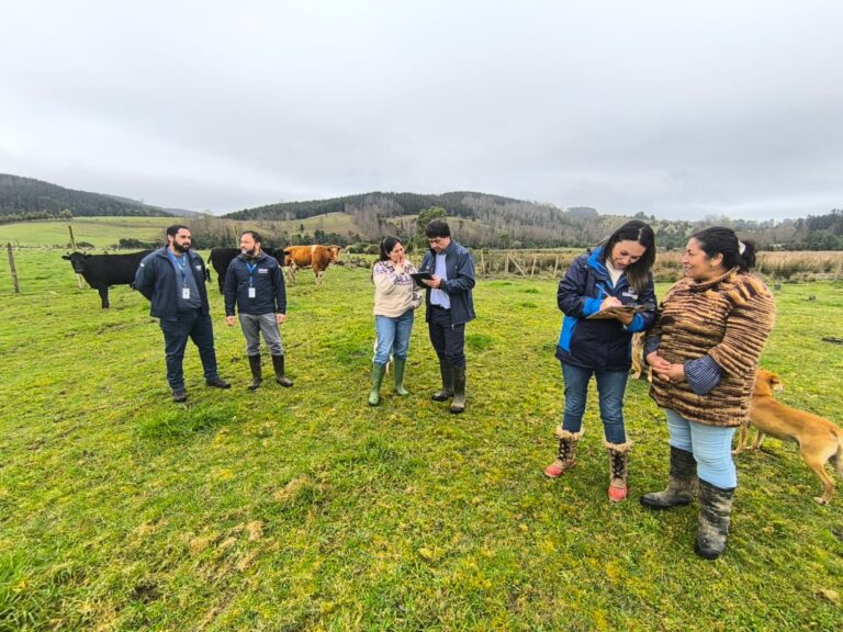Avanza proceso que permitirá entregar ayuda a agricultores afectados por sistemas frontales