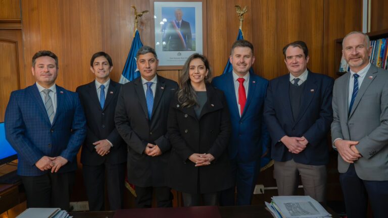 Los Ríos y Los Lagos impulsan Mesa Birregional para fortalecer la infraestructura eléctrica y avanzar en electromovilidad