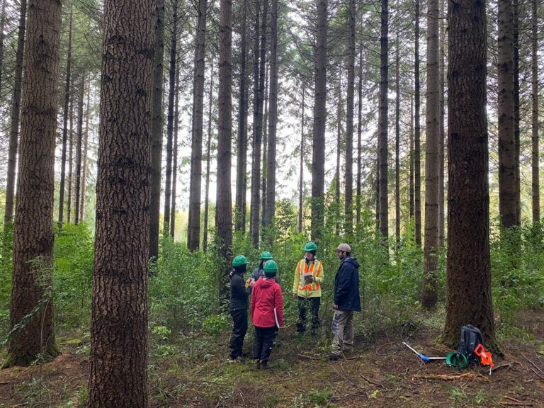 Estudiantes de Canadá estudian bosques del sur de Chile con la UACh