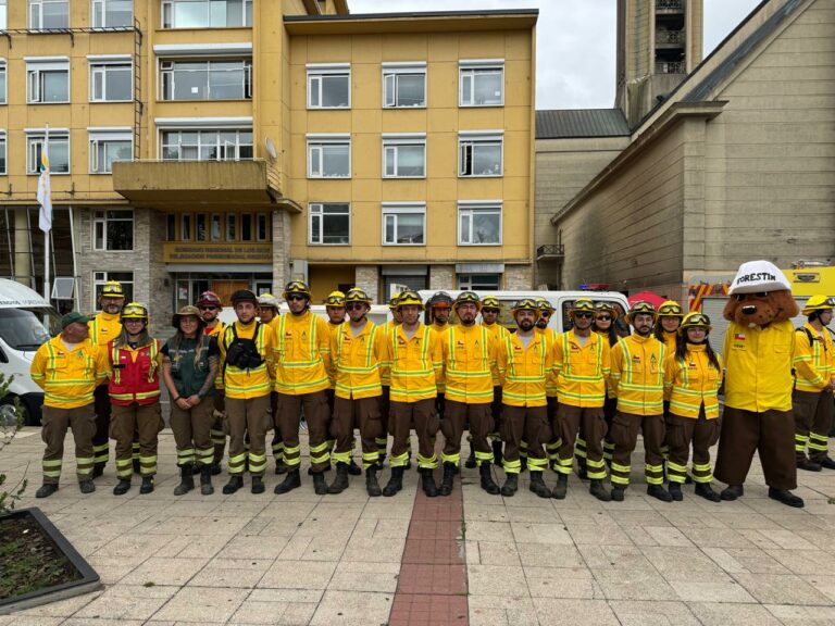 CONAF abre postulaciones para labores de combate de incendios forestales 2026-2027