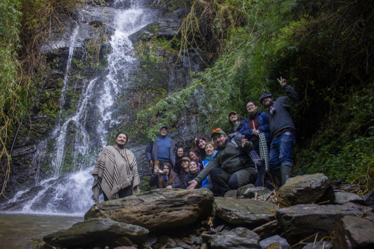 Bosquentrama aborda políticas y prácticas sobre bosques e interculturalidad en Corral