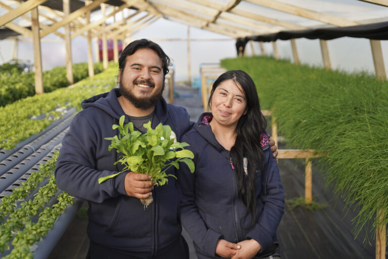INDAP y Agroseguros lanzan campaña y plataforma web para la Agricultura Familiar Campesina