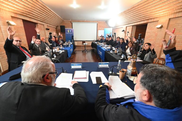 Consejo Regional impulsa inversión cultural, social y deportiva