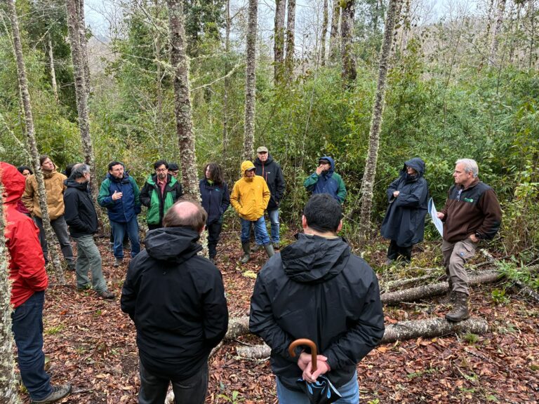 Regiones impulsan agenda conjunta por el bosque nativo