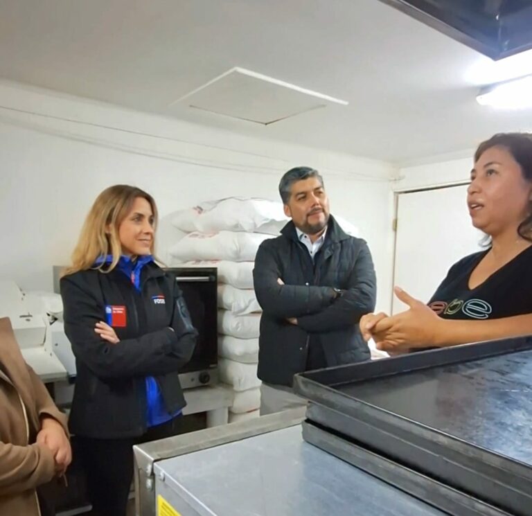 FOSIS destaca el emprendimiento como motor económico y anuncia apoyos para el empleo autónomo