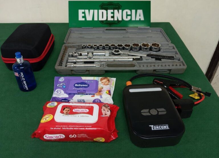 Detienen a hombre por robo de especies desde el interior de un vehículo en Valdivia
