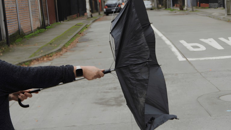 SENAPRED modifica Alerta Temprana Preventiva para Los Ríos por viento