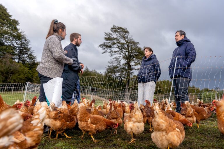 Apoyo integral a agricultores según su trayectoria y territorio anunció INDAP en su Cuenta Pública