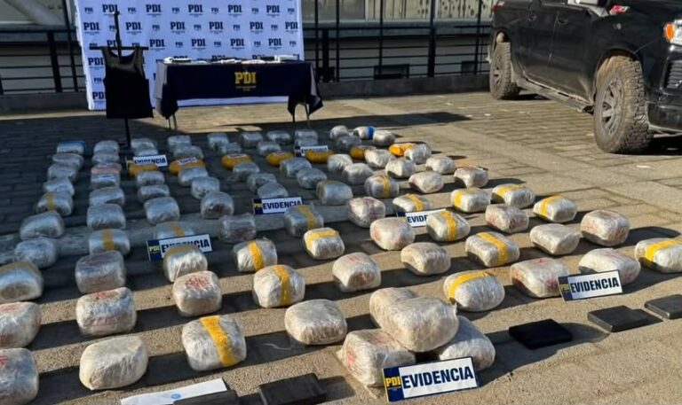 Fiscalía y PDI detienen a 12 personas e incautan más de 150 kilos de droga en Los Ríos
