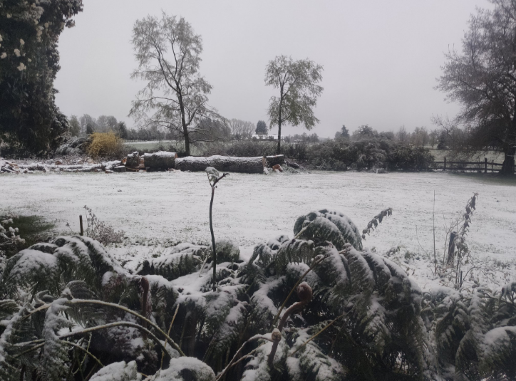Declaran Alerta Temprana Preventiva por nevadas para ocho comunas de la Región de Los Ríos