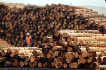 Los Ríos: Exportaciones de la región crecen 14% en junio y se registra como mejor mes en un año