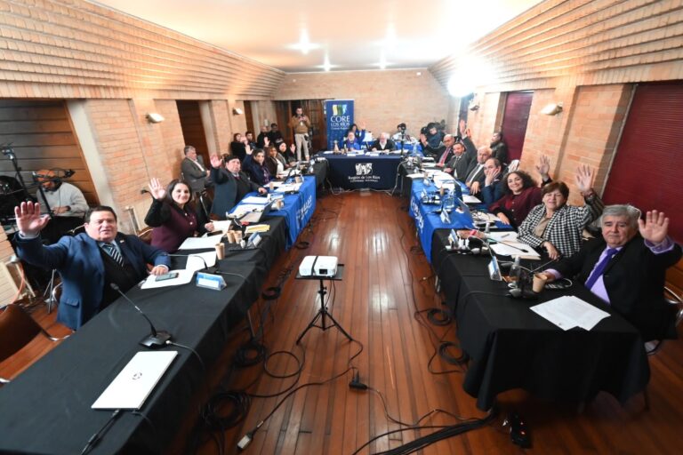 CORE de Los Ríos impulsan iniciativas culturales y de encuentro comunitario en La Unión