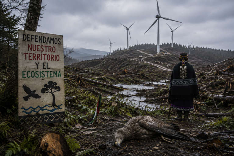Comunidades indígenas califican como un acto político de mala fe el rechazo a recurso para frenar proyecto eólico Ovejera Sur