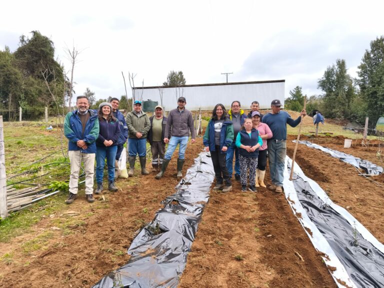 INDAP y CONAF impulsan huertos de frutos silvestres para agricultores