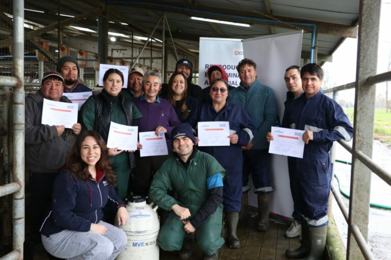 INDAP y Cooprinsem capacitan a ganaderos en inseminación artificial