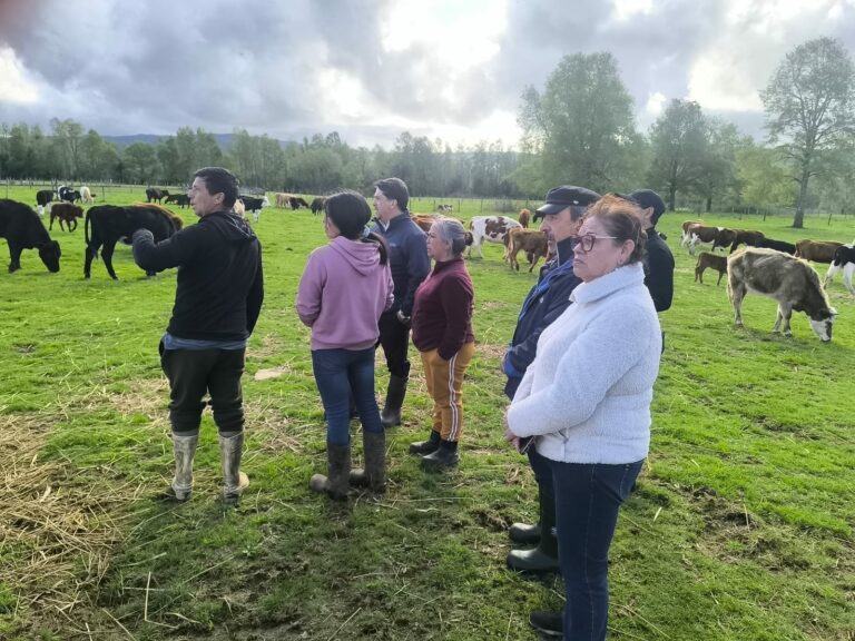 Minagri informa plazo extraordinario para apoyar a agricultores afectados por río atmosférico