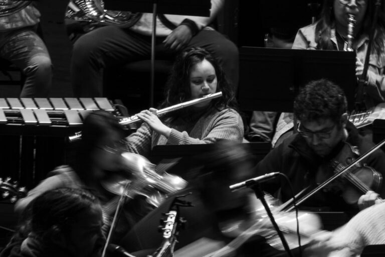Fotolibro mostrará el quehacer de la Orquesta Filarmónica de Los Ríos
