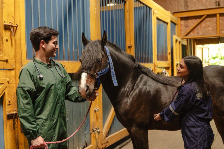 Ciencias Veterinarias UACh destacada a nivel mundial