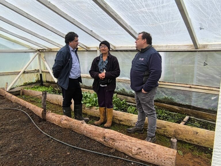 Agricultores podrán postular a tres concursos de la CNR por $600 millones