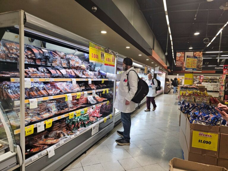 SEREMI de Salud decomisó cerca de 1.900 kilos de alimentos en Fiestas Patrias