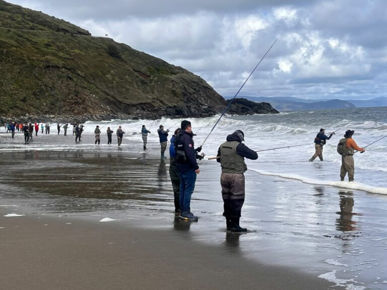 Sernapesca informa el inicio de la veda de corvina este 1° de octubre