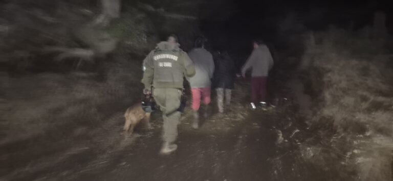 Tres detenidos por abigeato tras faenamiento de animales en Liquiñe