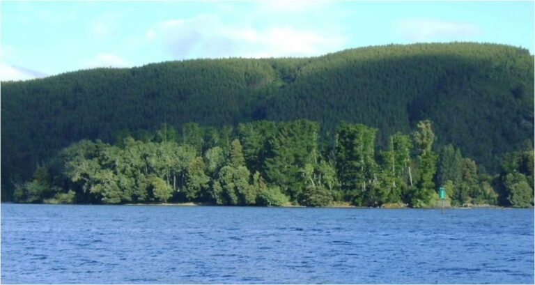 Gobierno busca vender Isla Sofía de Corral y otras dos islas fiscales en Magallanes