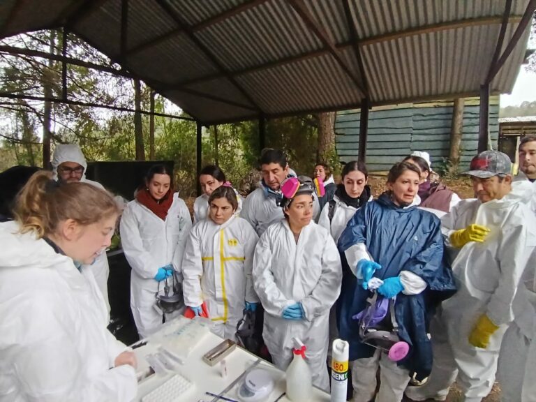 Investigación fortalece liderazgo en prevención de Hantavirus e Influenza Aviar