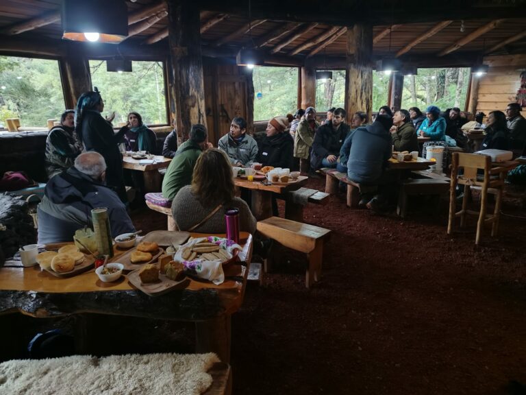 Familias mapuches y organizaciones comparten experiencias de conservación del bosque nativo