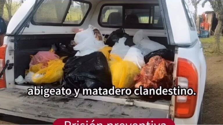 Prisión preventiva para imputado por abigeato y venta clandestina de carne