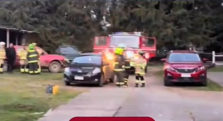 Fiscalía investiga muerte de trabajador tras caer desde un árbol en fundo