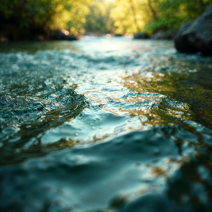 Declaran Alerta Amarilla por crecida del río Leufucade