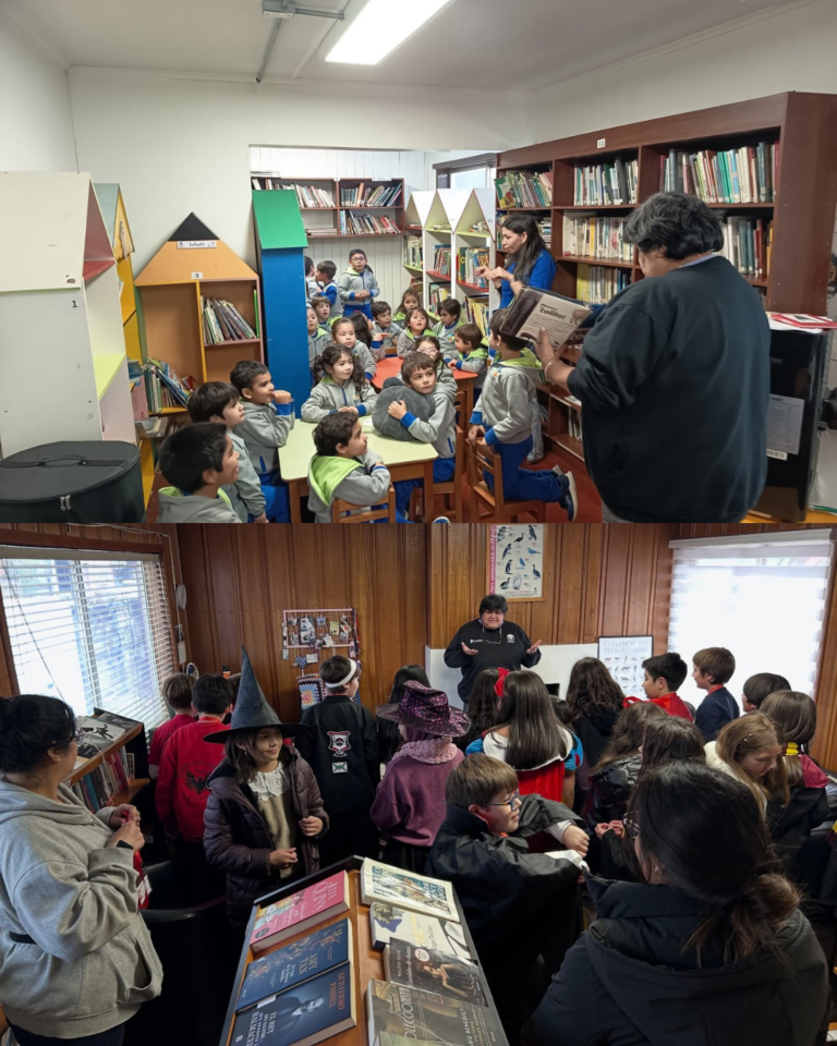 Bibliotecaria de La Unión entre las dos chilenas seleccionadas para pasantía en Medellín