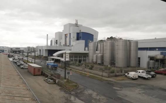 Conflicto entre Agrícola Las Mercedes y Colun llega a instancia clave por posible exclusión
