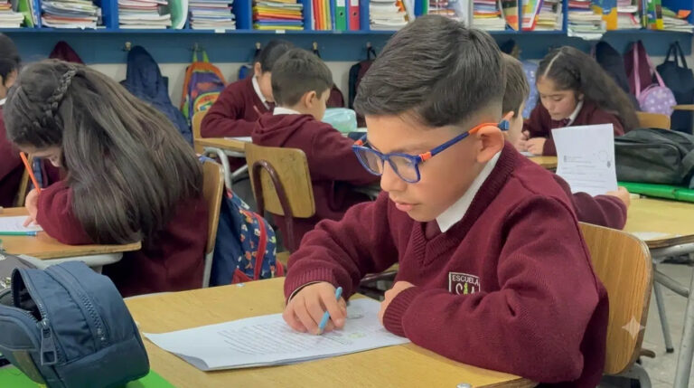 65% de estudiantes de 3° básico presenta dificultades lectoras
