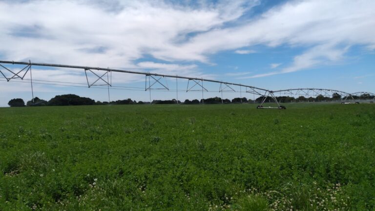 CNR mantiene abiertas las postulaciones a concurso para pequeños agricultores