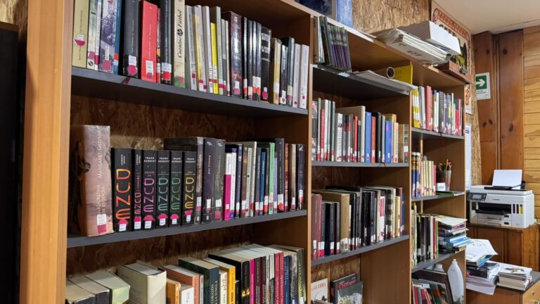 Biblioteca Pública ampliará su colección después de 10 años
