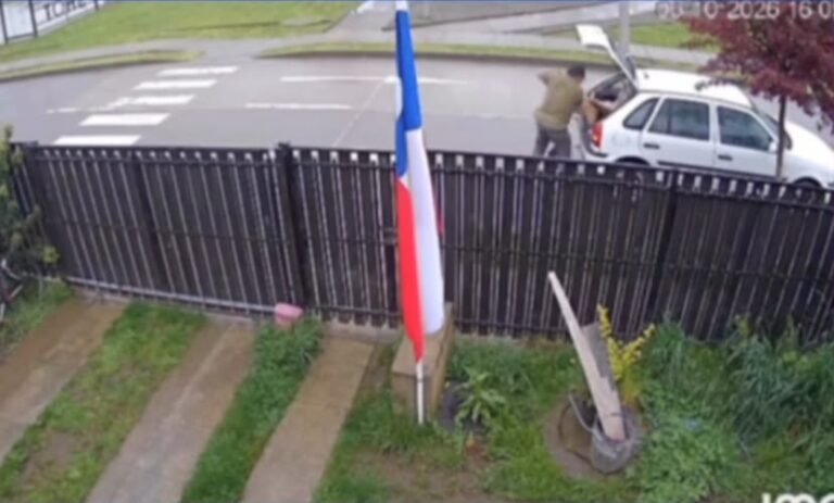 Formalizan a hombre por abandonar a su perro en plena vía pública
