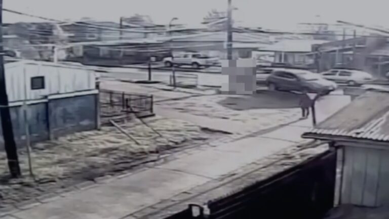 Mujer muere atropellada: conductor se dio a la fuga