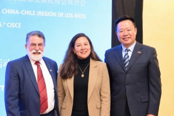 Escultora de Lago Ranco, única artista invitada a foro económico China-Chile