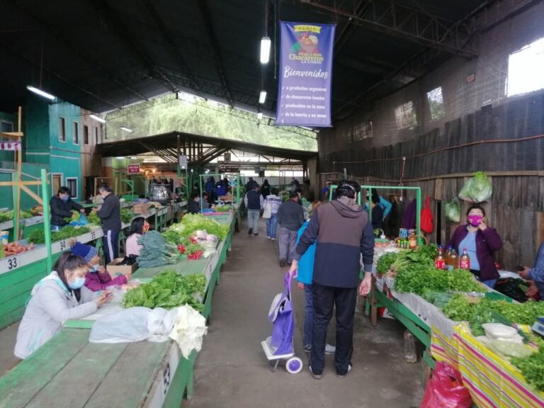 Adulto mayor sufrió el robo de sus ventas en la Feria de Chacareros de La Unión