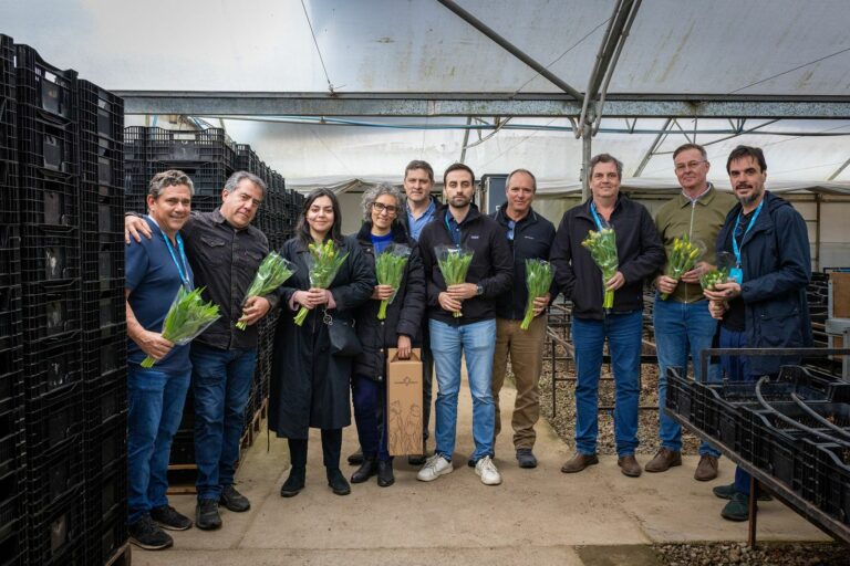 Importadores de México, Estados Unidos y Brasil proyectan negocios con floricultores de la región
