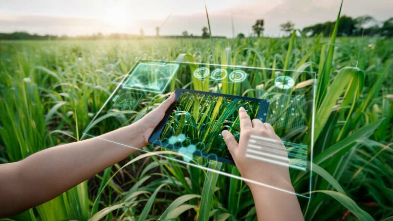 AgroImpacta 2026 traerá a La Unión expertos internacionales en tecnología e inteligencia artificial agrícola
